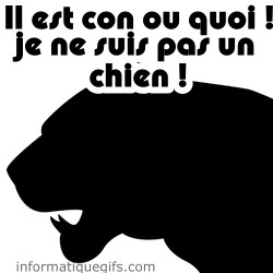 Photo de tigre et non chien