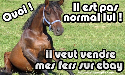 photo de cheval avec fer