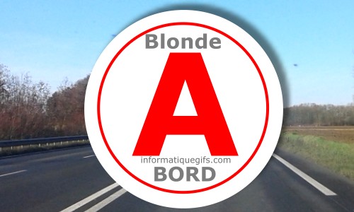 Disque A voiture blonde au volant