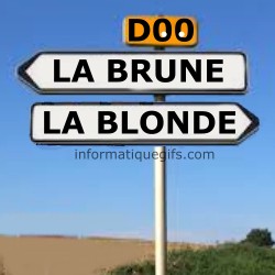 Panneau de signalisation avec la brune et la blonde