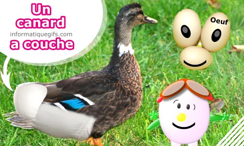 Un canard avec couche enfant