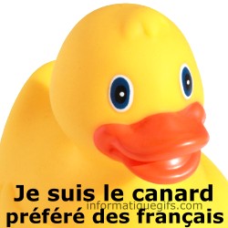 Petit canard jaune