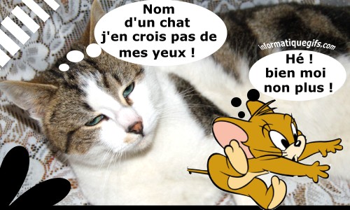 Chat et cartoon jerry