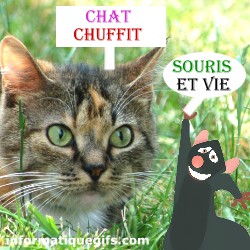 chat et souris drole