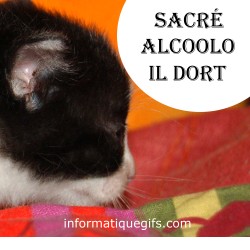 Un alcoolo qui dort