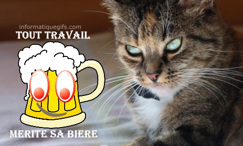 verre de biere blonde et chat