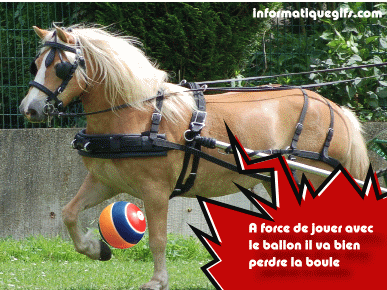 humour cheval qui joue au foot