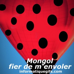 montgolfiere coccinelle