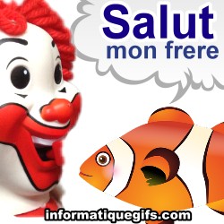 Clown et poisson clown