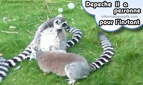 depeche il y a personne humour