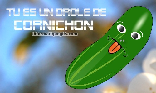 Tu es un drole cornichon