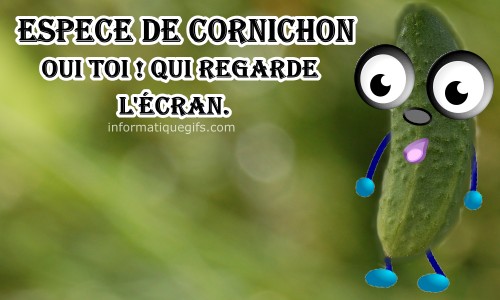 espece de cornichon