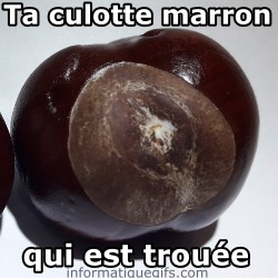 Un marron