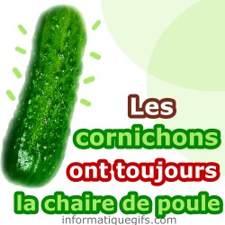 Gros cornichon