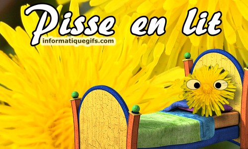 lit avec pissenlit