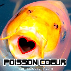 un poisson coeur