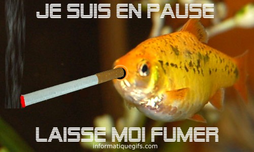 Je suis en pause avec cigarette et poisson aquarium