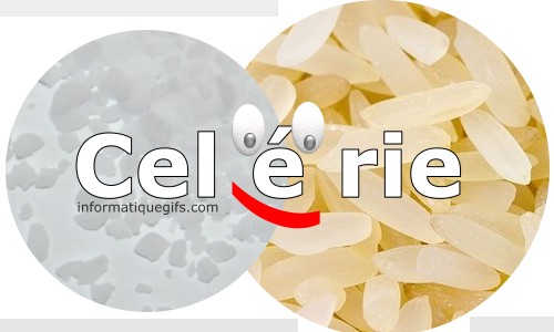 Du sel et riz