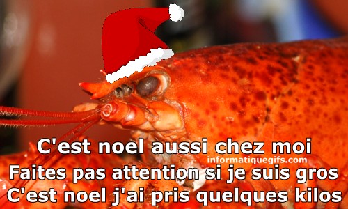 humour crabe de noel