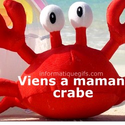 Crabe avec des gros yeux