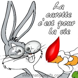 Le lapin et sa carotte