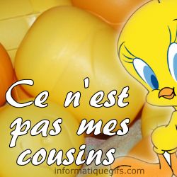 titi et ses cousins