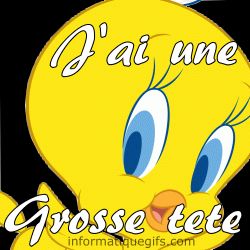 titi grosse tete