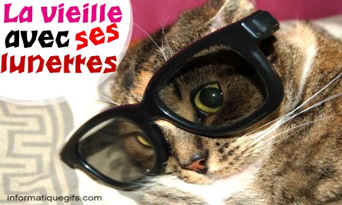 image humour vielle a lunette