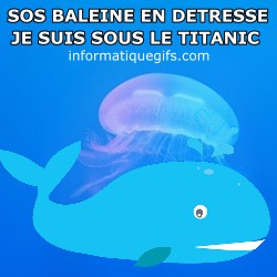 Baleine sous le titanic