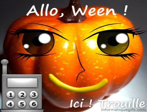 humour citrouille halloween