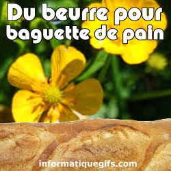 fleur beurre pour le pain