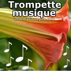 fleur trompette musique et note