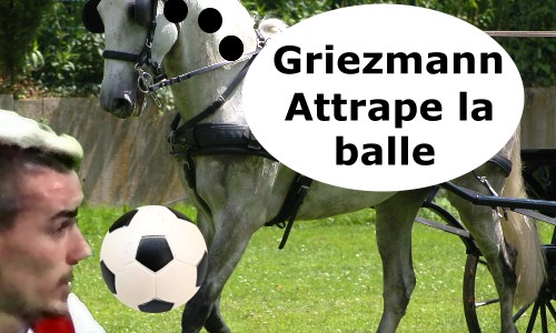 Griezmann joueur de foot et cheval
