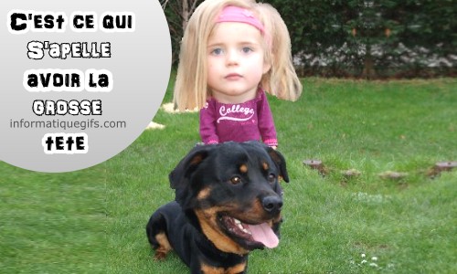 humour grosse tete avec chien de race