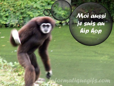 Humour hip hop avec un singe qui fait des conneries