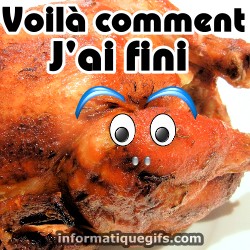 Photo poulet grille