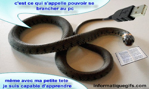 Humour prise USB image informatique