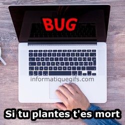 bug informatique