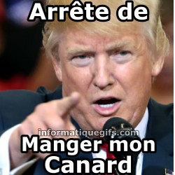 Image donald trumpe qui pointe du doigt