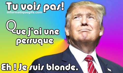 Humourdonald trump