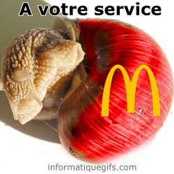 Mcdo et escargot