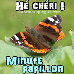 la minute papillon