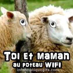 Image mouton avec WIFI