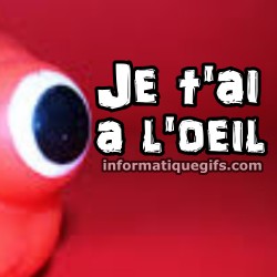 Oeil de poisson