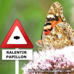 Panneau attention danger avec papillon