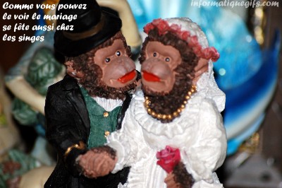 Photo de mariage humour