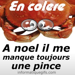 Un crabe de noel avec pince