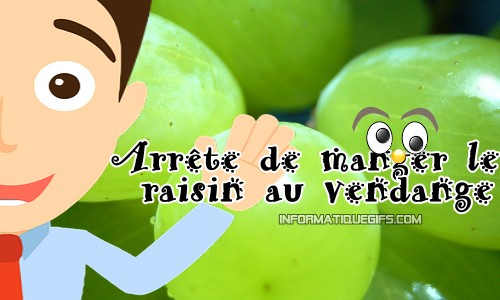 Photo personnage souriant humour vendange et raisin