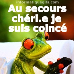 Une grenouille avec son telephone portable