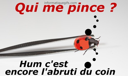 Pince avec une coccinelle